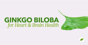 Ginkgo-Biloba-Brain-Heart