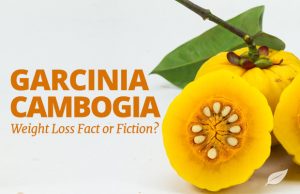 Garcinia-Cambogia-Weight-Loss