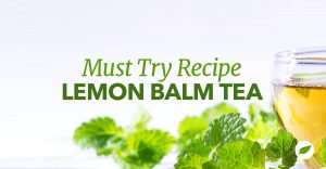 lemon-balm-tea-recipe