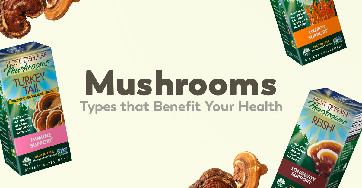 mushroom-supplements-health-benefits