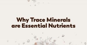 trace-minerals-health-support