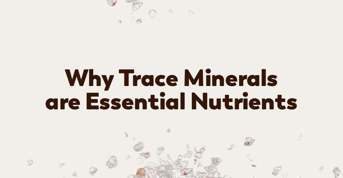 best trace minerals plant