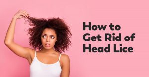 hairspray kill head lice