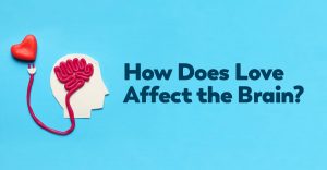 love-and-the-brain