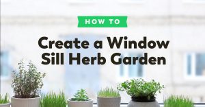 window-herb-garden