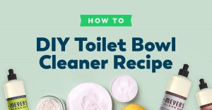toilet-bowl-cleaner
