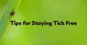 tips-tick-free-spring-summer-warm-weather