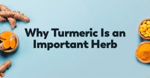 turmeric-important-herb