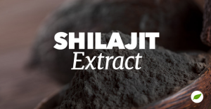 shilajit extract