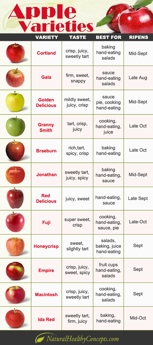 6 Delicious Ways To Enjoy Apples This Fall Healthy Concepts With A Nutrition Bias