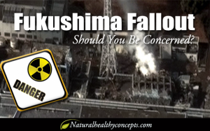 Fukushima Health Concerns