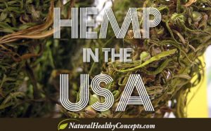 Hemp Benefits USA
