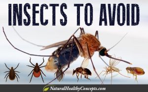 Insects-to-Avoid