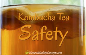 Kombucha-Tea-Safety