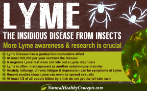 Lyme-disease-blog