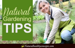 Natural vegetable Gardening