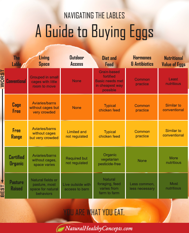 Cage-Free, Free-Range, Pasture-Raised, Organic: What are You Really ...