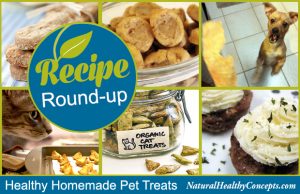 Recipe-Roundup-Pet-Treats