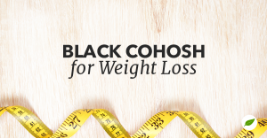 black-cohosh-for-weight-loss
