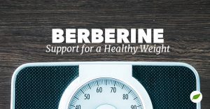 berberine for weight loss