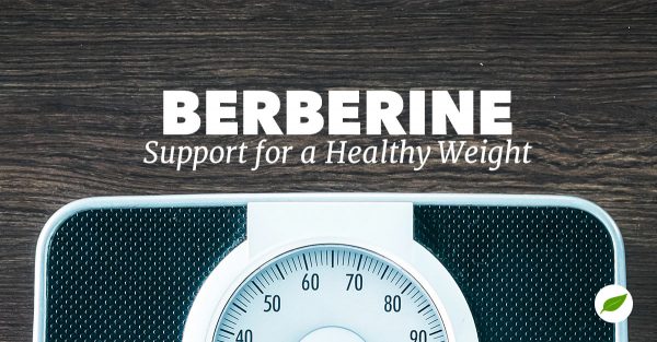 berberine for weight loss