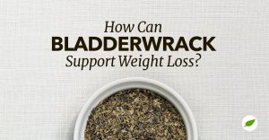 bladderwrack for weight loss