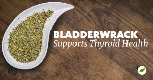 bladderwrack for thyroid