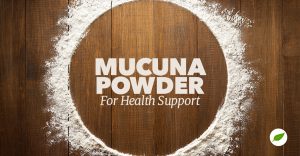 mucuna pruriens powder