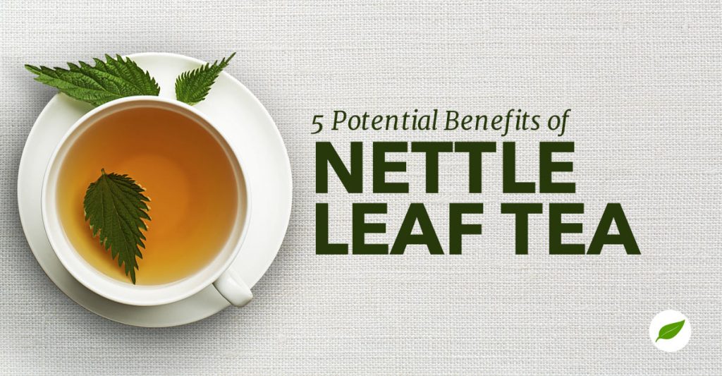 5 Surprising Health Benefits of Nettle Leaf Tea