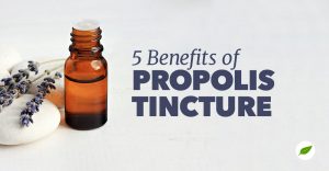 propolis tincture