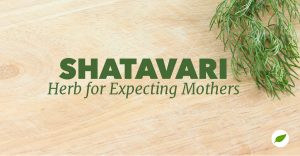 Shatavari-herb-expecting-mother