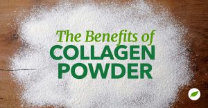 collagen powder