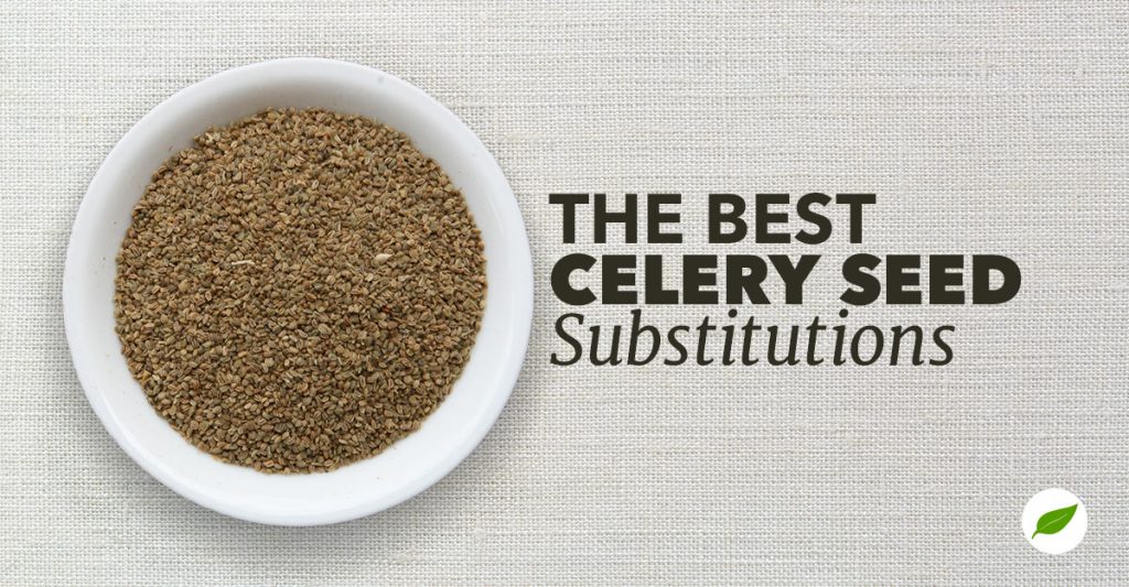 The Best Celery Seed Substitutions Healthy Concepts with a Nutrition Bias