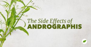 andrographis-side-effects