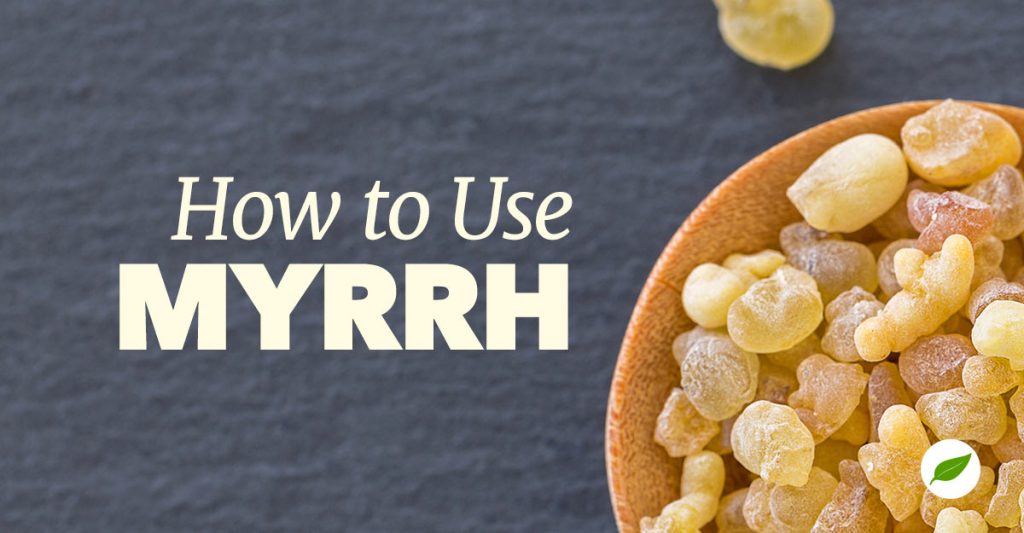 What Is Myrrh Used For? Science and History Explains NHC
