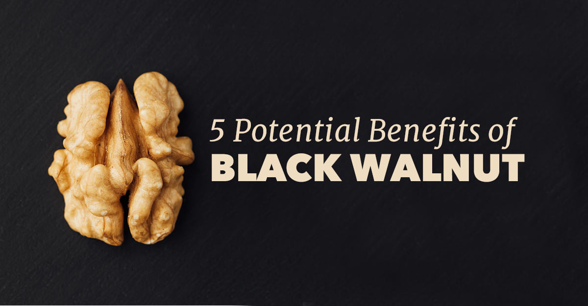 black-walnut-benefits