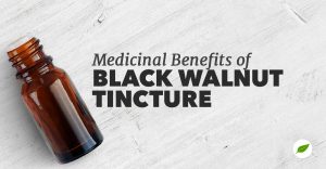 black-walnut-tincture