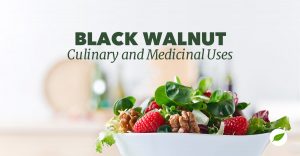 black-walnut-uses