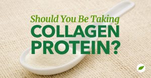 collagen protein