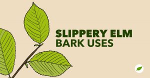 slippery elm bark