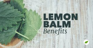 lemon-balm-benefits