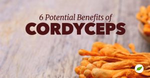 cordyceps benefits