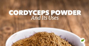 cordyceps powder