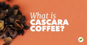 cascara coffee