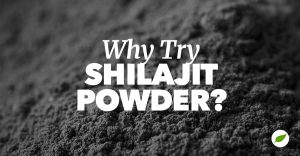 shilajit powder