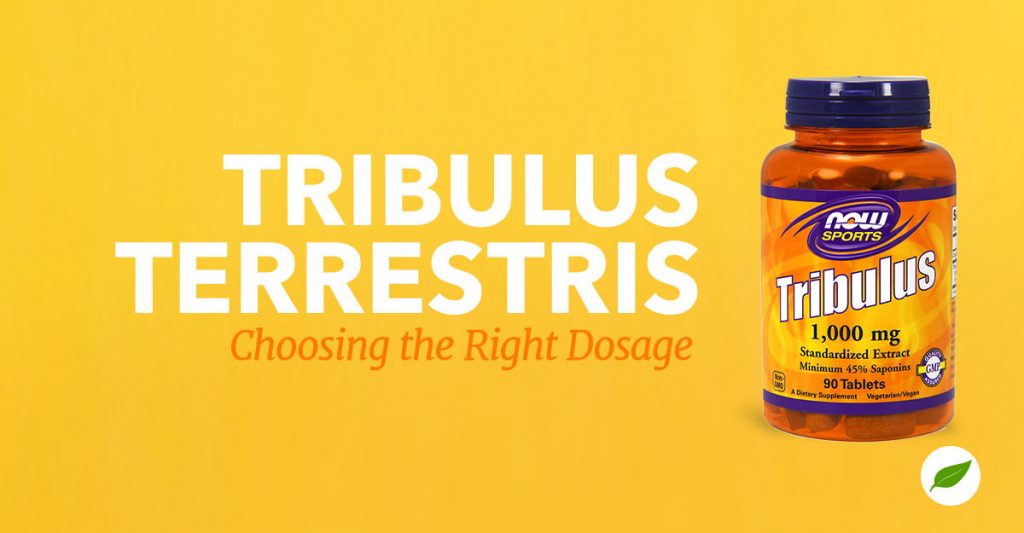 How to Determine a Proper Tribulus Terrestris Dosage NHC