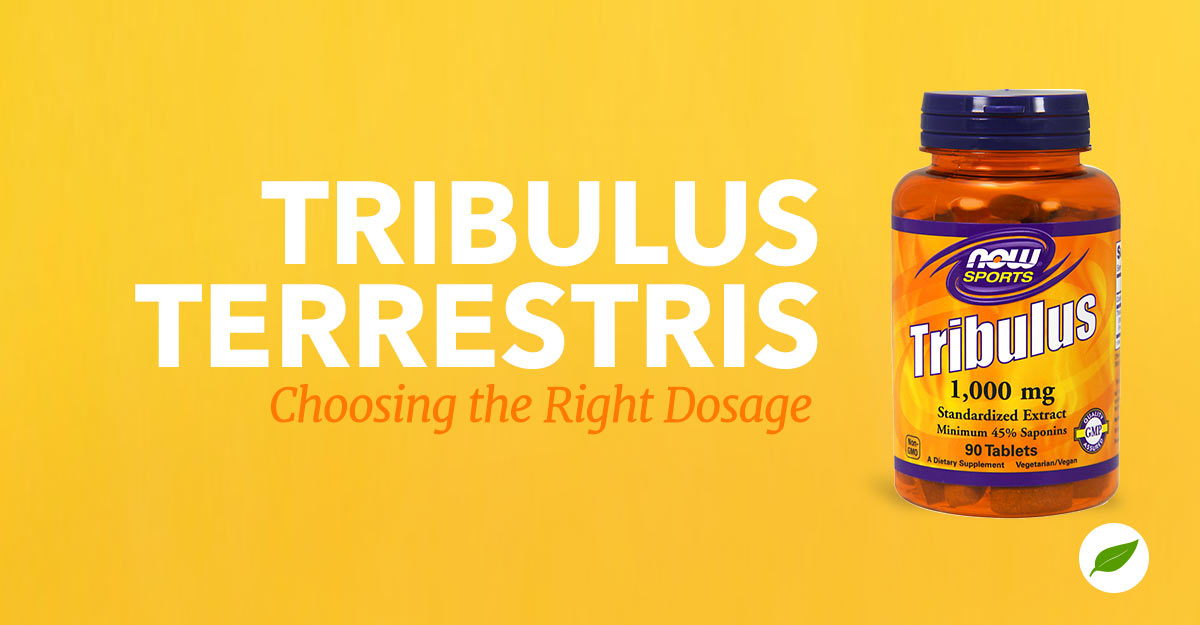 Tribulus-Terrestris-Dosage