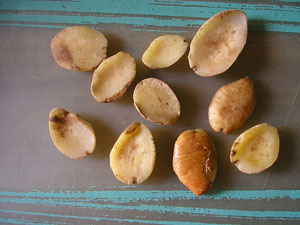Dika Nuts from African Mango