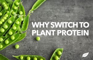 Why You Should Switch to Plant Protein