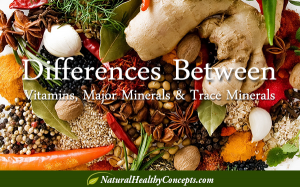 Minerals - Major and Trace